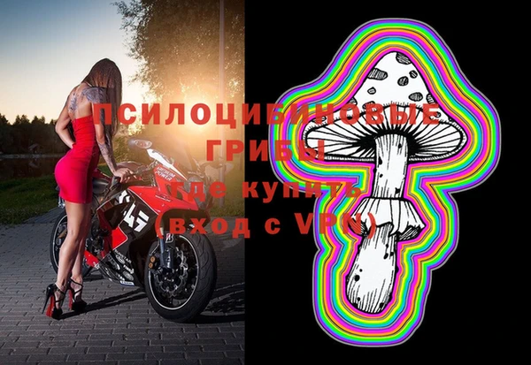 mdma Богородск