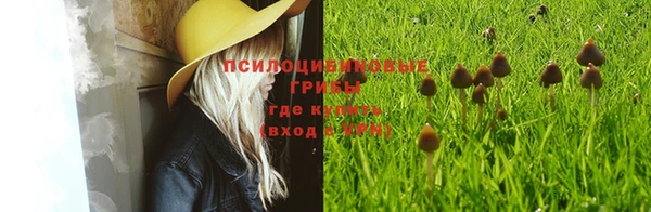 2c-b Богданович