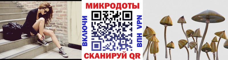 купить наркотики сайты  даркнет состав  Псилоцибиновые грибы мухоморы  Абакан  МЕГА ссылки 